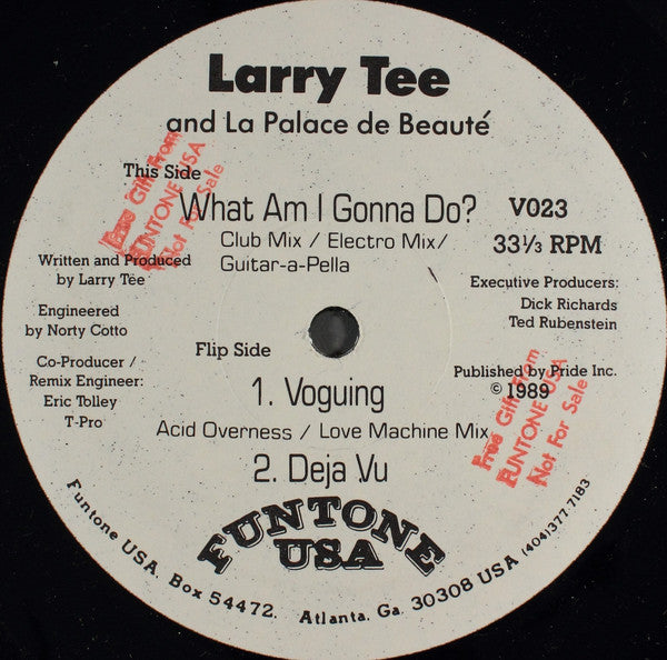 Larry Tee And La Palace De Beauté : What Am I Gonna Do? (12", Promo)
