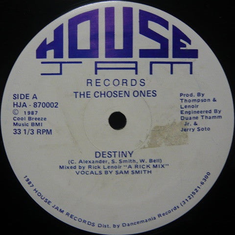 The Chosen Ones : Destiny (12")