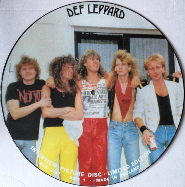 Def Leppard : Limited Edition Interview Picture Disc (LP, Ltd, Pic, Unofficial)