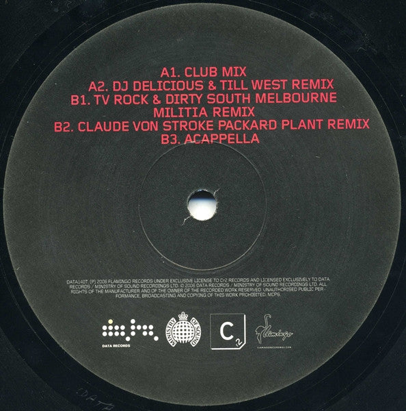 Fedde Le Grand : Put Your Hands Up For Detroit (12", Single)