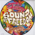 Bob Sinclar & Cutee B Feat. Gary Pine* And Dollarman : Sound Of Freedom (12", S/Sided, Pic)