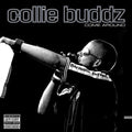 Collie Buddz - Come Around [EX/EX]