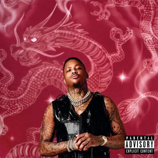 YG - Stay Dangerous [NM/NM]