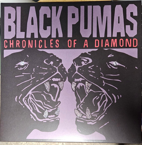 Black Pumas - Chronicles Of A Diamond