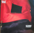 Billy Joel - Storm Front